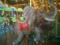 merry-go-round