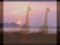 The Lion Sleeps Tonight - The Tokens