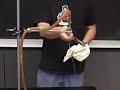 bending a water stream using electrostatic charges