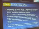 Ocean Food Webs - Classical Food Web