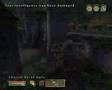 Oblivion - Gray Fox on Skooma in Chorrol
