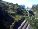 Goliath steams past the bridge by Saltern Cove, Goodrington.