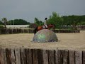 moi et mon beau etalon SF moi et mon beau etalon SF