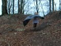 A fairy is running. A fairy is running.