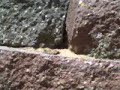 R/C Car - Onboard Video - Run # 002