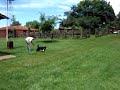 border mordendo