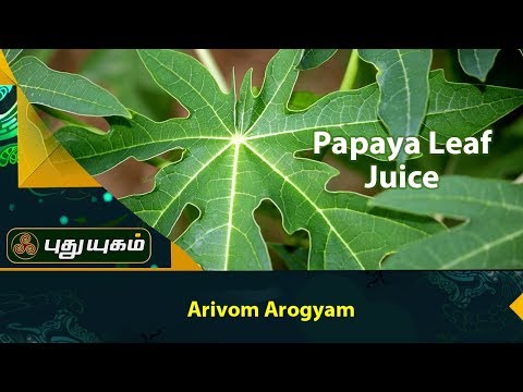 Papaya Leaf Juice | Pappali Ilai Saru Papaya Leaf Juice | A Surprising Natural Remedy for Fever