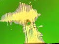 Kokomo video by Black Dice
