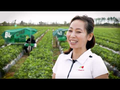 33rd Annual EBA Henry Ngai Medium to Large Business Finalist Gina Cam Yen Dang – SSS Strawberries