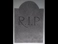 R.I.P. amro elbadawi