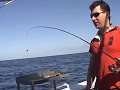 UNREAL Deep Sea Fishing with Penfishingrods.com