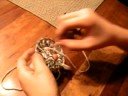 Pop top bracelet