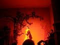 Flamenco Flamenco