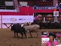 2008 Summer Cutting Amateur Derby Champion