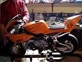 MINIMOTO DM NARANJA POLLO