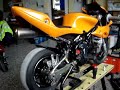 MINIMOTO DM NARANJA POLLO
