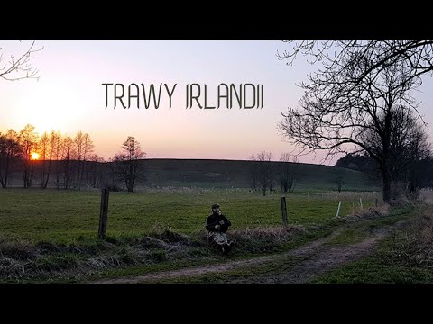 „Trawy Irlandii” - Zagrali i Poszli