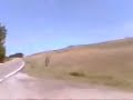 bondeno