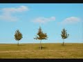 Bach - Brandenburg Concerto No. 3 in G BWV1048