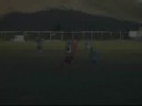 jogo do dali-galo