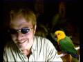 videos de Captain TV - Captain's Parrot Poops On Captain - Captain Casino