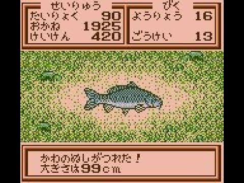 動画