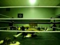 IWA-Quebec - Johnny Jack Spade Vs Chris Cruze Vs Alex Silva Vs Lex Lerman 