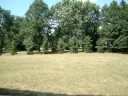 last day of summer- crf 100 riding!