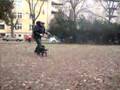 Rotvajler Video