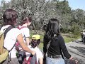 Passeio PAPA-L�GUAS para utentes da APCL