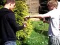 Literkönig