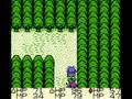 Let's play Dragon Quest Monsters part 17
