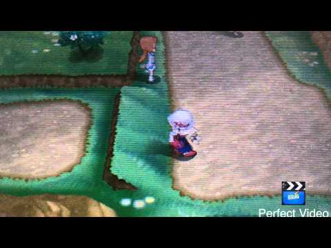 how to perform the cosmic flip in pokemon x