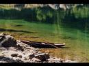 Tirol