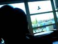 videos de AU QUIK 2