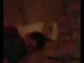 videos de ulysses en culiacan
