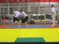 INBI World Tui Shou team / Команда туйшоу ИНБИ