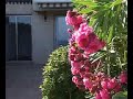 Saint Aygulf villa