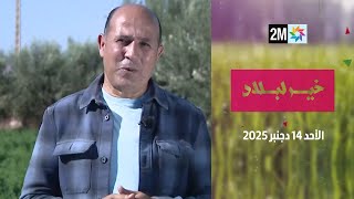 خير لبلاد : الأحد 14 دجنبر 2025