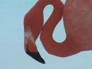 The Flamingos: Friends or Foes? The Flamingos: Friends or Foes?