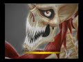Huntington Beach Body Work Skulls Huntington Beach Body Work Skulls