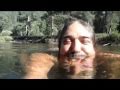 Yosemitebear Swimming in Yosemite 8-10