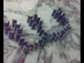 videos de Domino carte