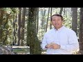 Gov Mark Sanford Carolina parody -Parody lyric: Fred Landau (Thx to Wayman Wong for the parody idea)
