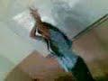 Ammal