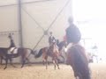 laurette darling equid espace laurette darling equid espace