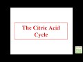 The Citric Acid Cycle - Biochemistry Review (Examville.com)