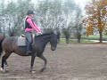 DSCF0377