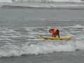 Buddy the Surf Dog Hangs 10 at 2008 Dog Surf a Thon