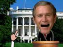 Headzup: Bush\ Headzup: Bush\